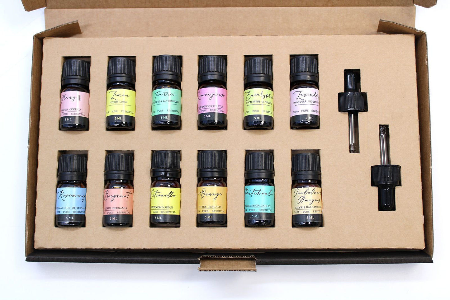 Aromatherapy Top 12 Essential Oil Gift Set