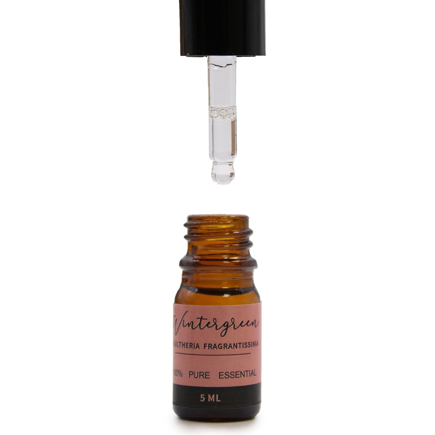 Aromatherapy Top 12 Essential Oil Gift Set