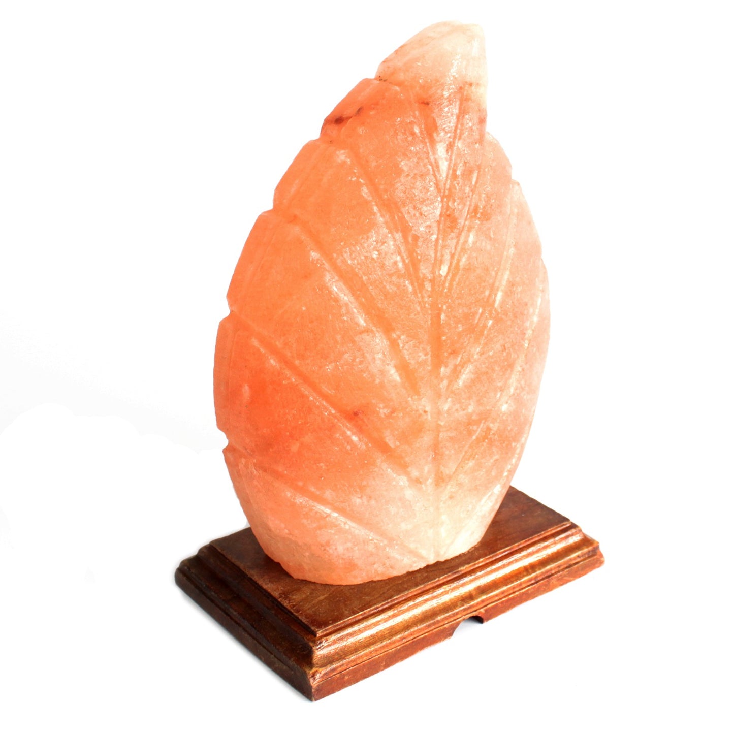 Fern Carved Himalayan Salt Lamp
